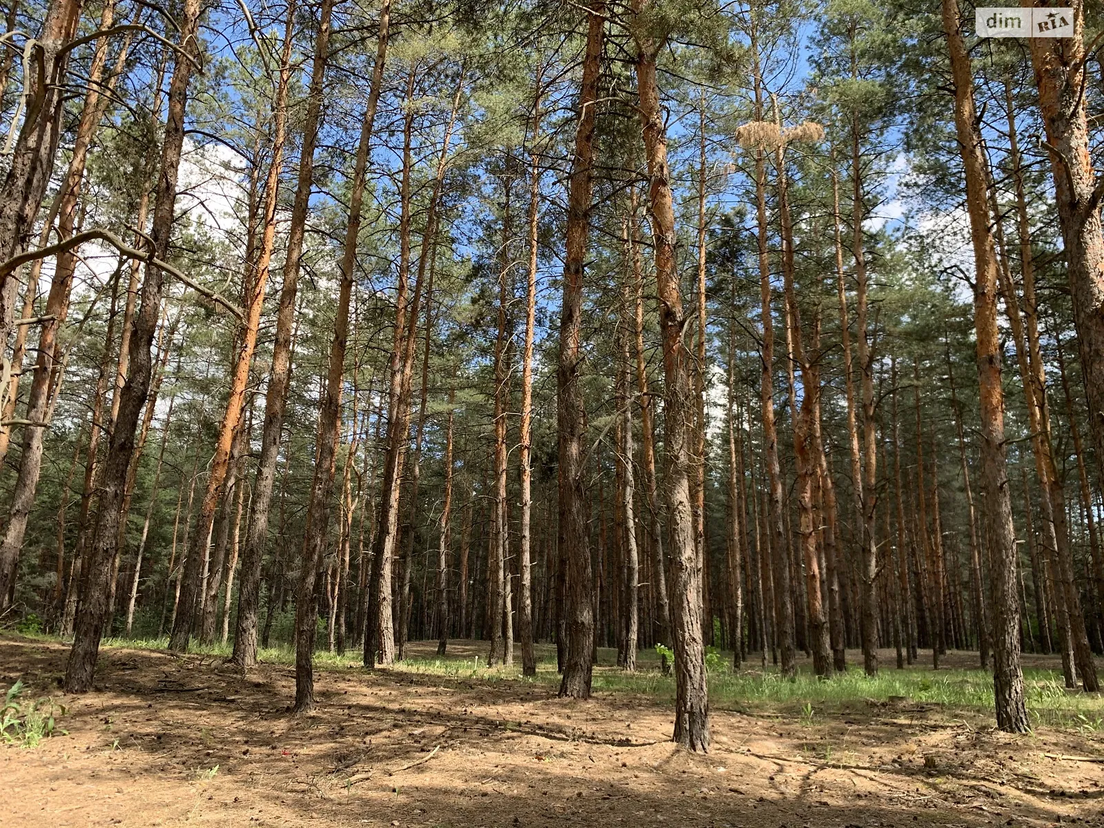 вулиця Ватутіна Новосёловка (Днепровський район), цена: 47700 $ - фото 1