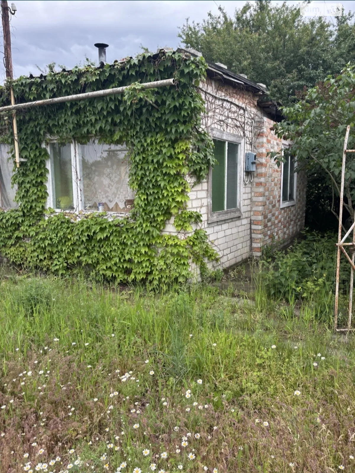 Продается земельный участок 969 соток в Черкасской области, цена: 3800 $ - фото 1