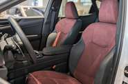 Lexus NX Urban