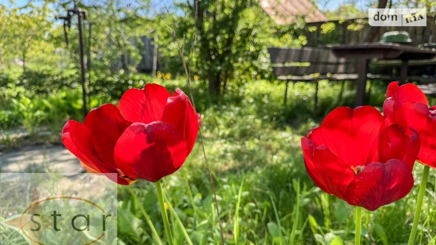 Продается земельный участок 10 соток в Черниговской области, цена: 45000 $ - фото 2